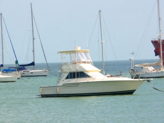 Alquiler de embarcaciones